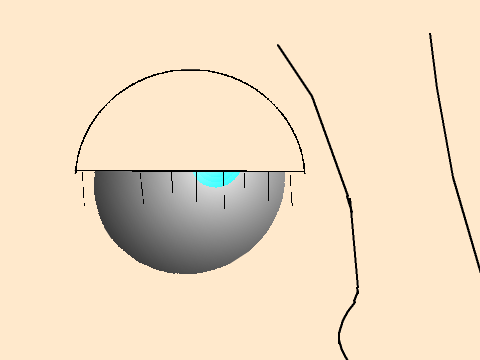 Eye