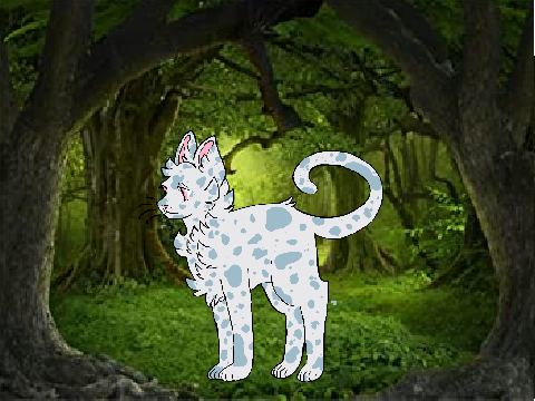 Ramblestar (Berry Clan Leader)