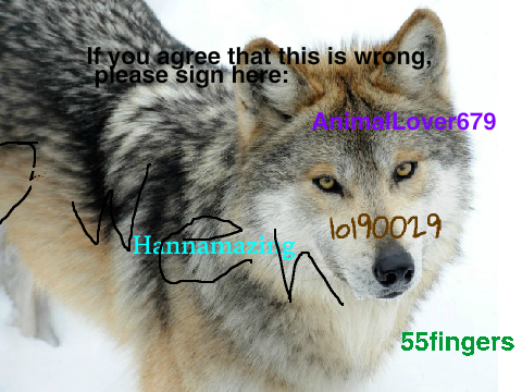 Sign To Stop Wolf Hunting: remix remix remix!!!! :) remix remix remix remix remix