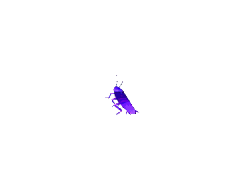 CARL THE RAINBOW COCKROACH