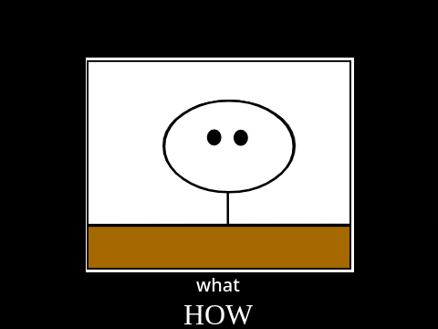 What? How? Moments.