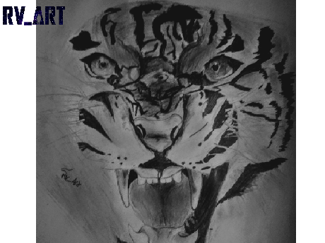 Tiger Art Request 
