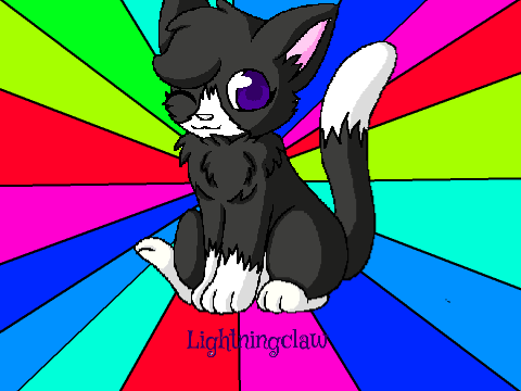 Chibi Warrior Cat CCE -Open- 