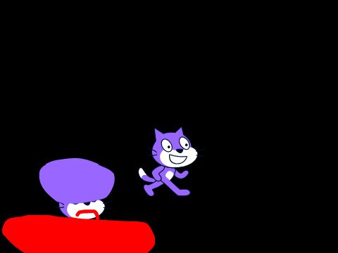 www