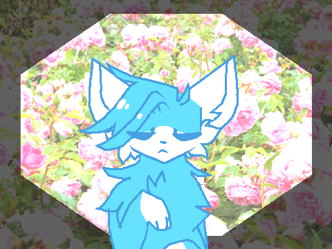 . roses .