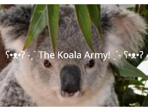  ʕ•ᴥ•ʔ -ˏˋ The Koala Army! ˎˊ- ʕ•ᴥ•ʔ