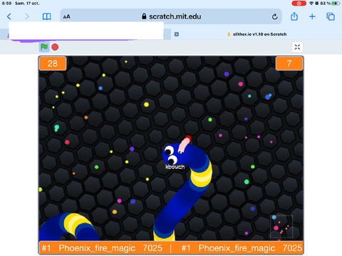 My slither.io record