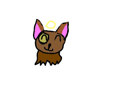 very cute cat