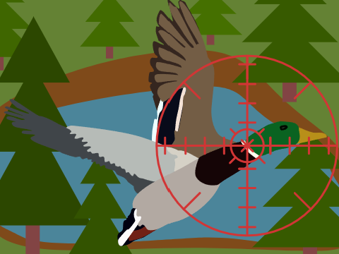 Duck shooter