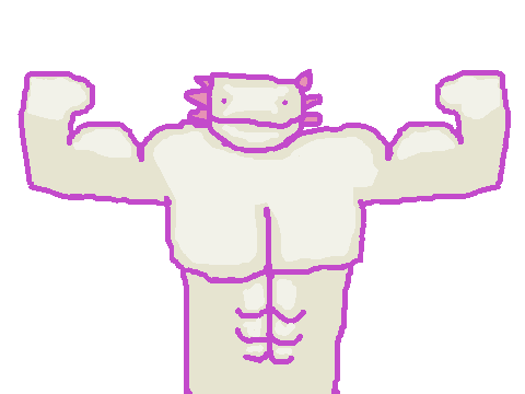 An axolotl's true form.