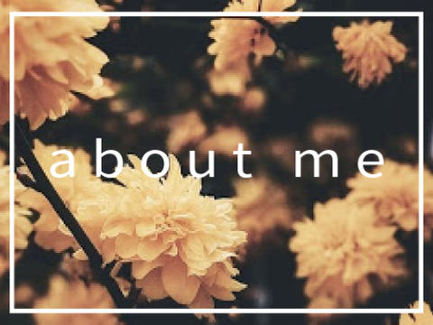 ⠀» ———————  ⋆ ★ ⋆ ——————— «