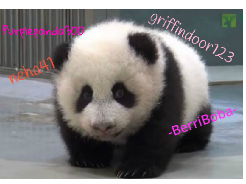 Sign if you are against PANDA POACHING! REMIX remix