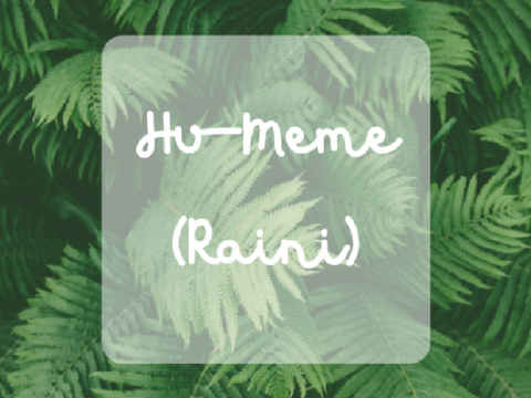 ◁ H u - m e m e ▷