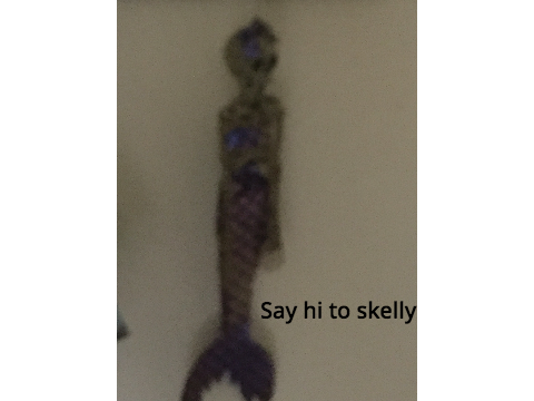 sAy hI tO sKelLy