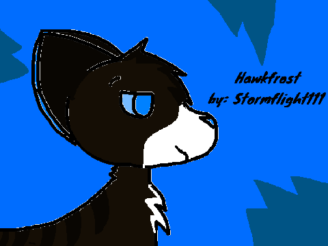 Hawkfrost Fanart Speedpaint