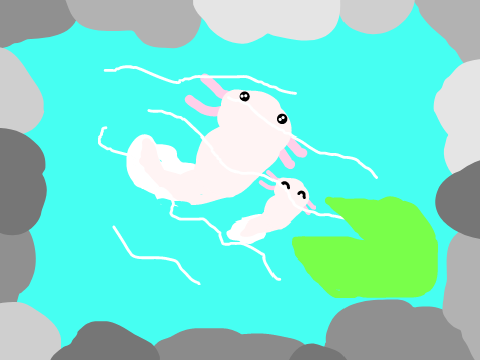 axolotl mom and baby