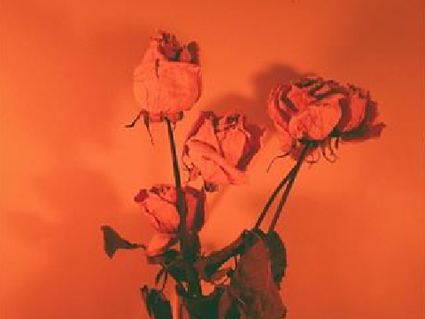 ❖ 