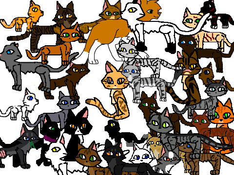 the cat family