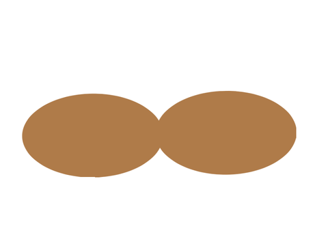 Nut Simulator