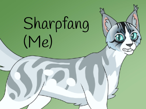 My Warrior Cat RP Reveal!!!