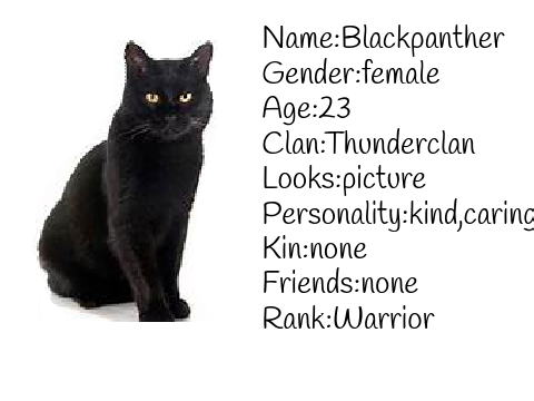 BlackPanther RP