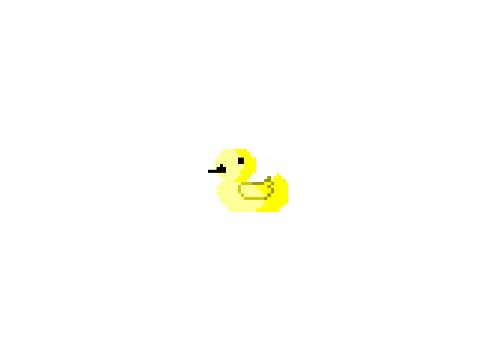 feed the duck