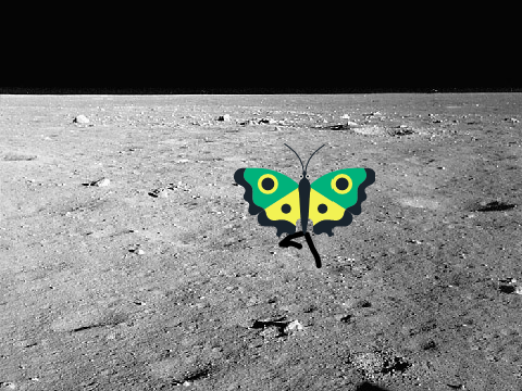Butterflies in Space