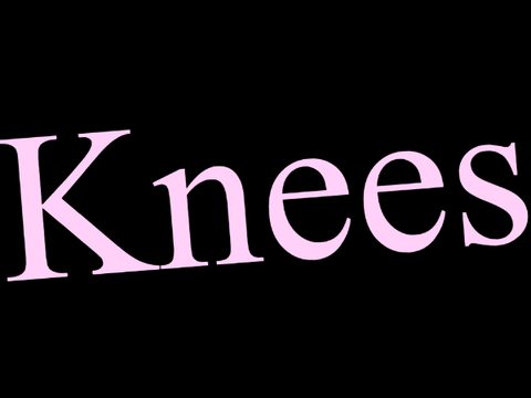 Bebe Rexha - Knees