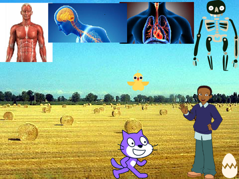 Simple animation project on Human Body systems remix