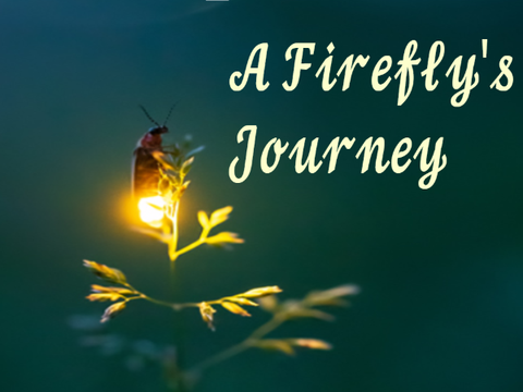 A Firefly's Journey (piano solo)