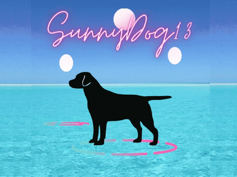SunnyDog13's Pfp prize
