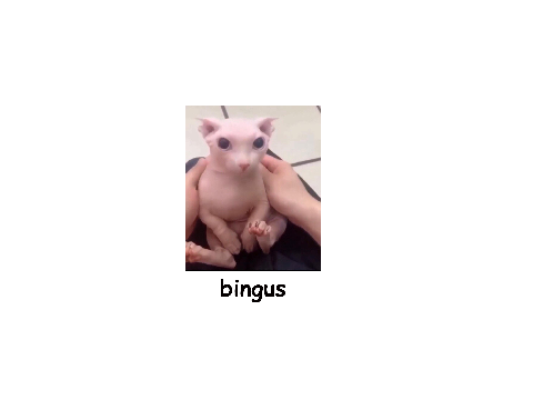 sosingus
