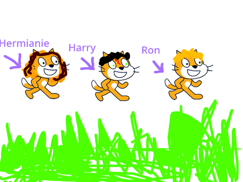 Harry,Ron,and Hermianie as cats.