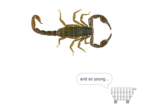 Scorpion Clicker (Fixed?)
