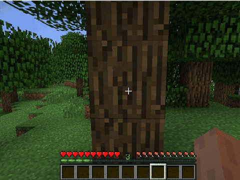 REAL MINECRAFT