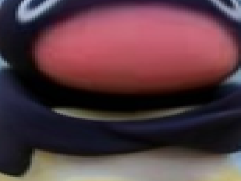 snort