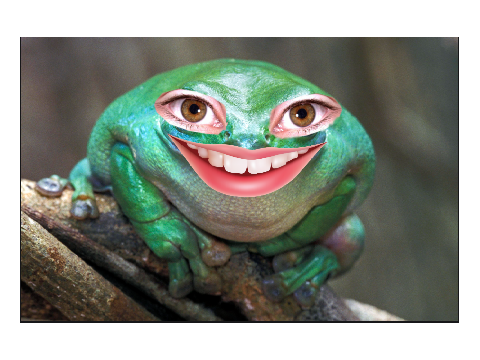 Scary frog