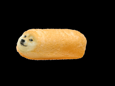 Nyan Twinkle Doge