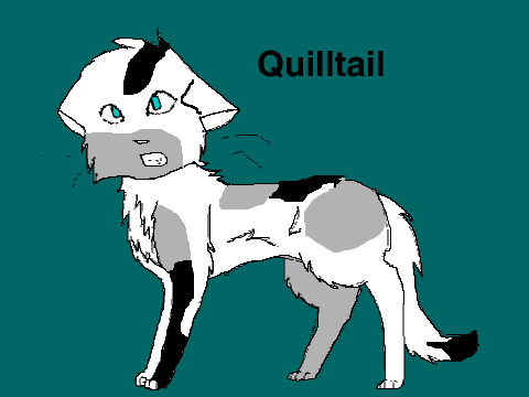 Quilltail