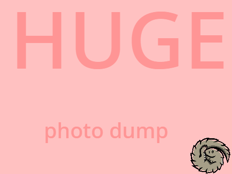 (HUGE) Photo Dump