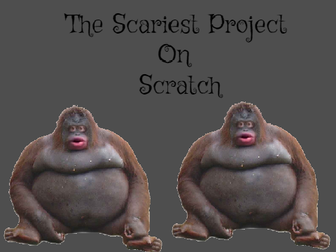 The Scariest Project On Scratch
