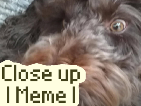 - close up - (ft. my boi)