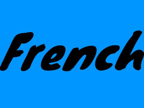 French lesson 1