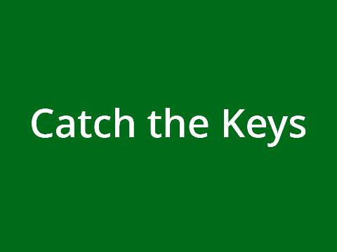 Catch the keys!