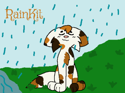 RAIN \\ open CCE