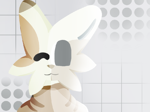 NEW SONA 