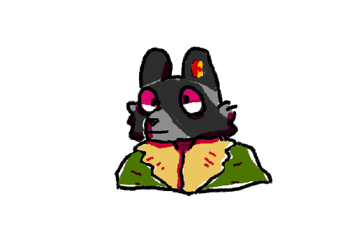 raccoon hours
