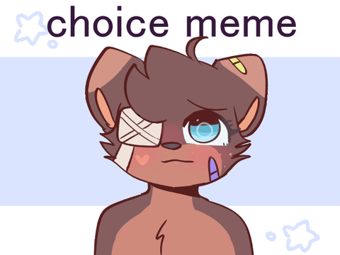 choice ☆ meme || thank you for 500+ !