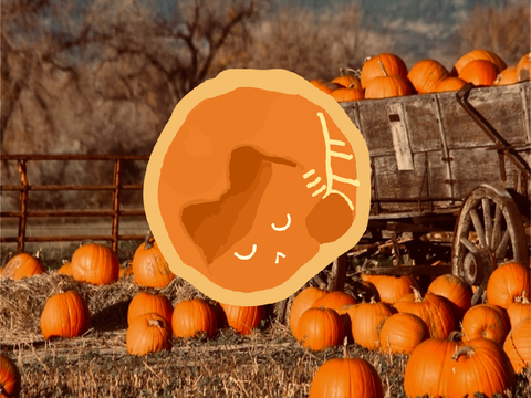 Pumpkin Pie Cat