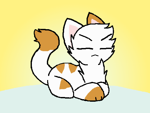 Tanda 'Ahmed' (kitten) ref